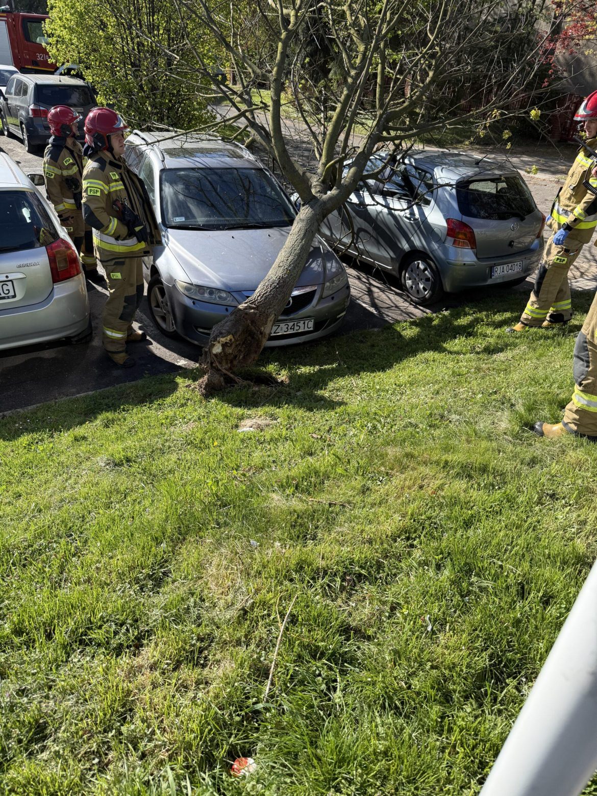 Skutki wichury w Rzeszowie. Drzewo przygniotło samochód